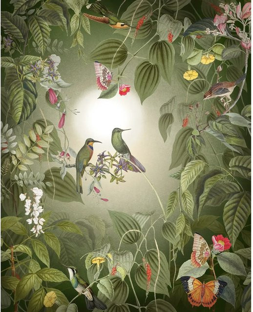 Komar Vliestapete Wildlife Birds Multicolor B: 200 cm, H: 250 cm - Bild 1