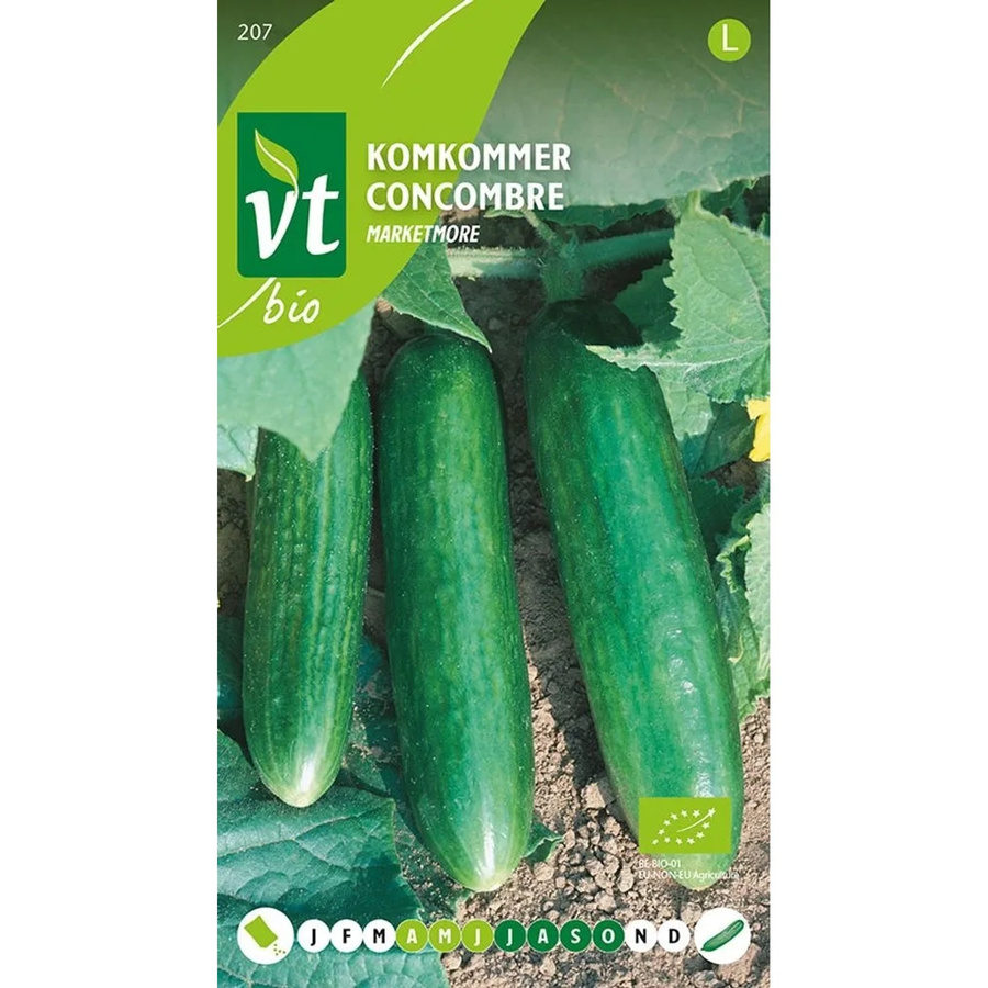 Salatgurke Marketmore Bio Saatgut arborix 1 g Ertragreich - Bild 2