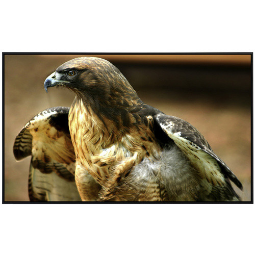 papermoon Infrarotheizung EcoHeat Red Tail Hawk mit Matt-Effekt in Bunt, App-Steuerung und Überhitzungsschutz - Bild 2