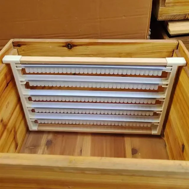 Hochwertige Zuchtfassungen aus Kunststoff für Bienen in Grau und Weiß - Bild 1