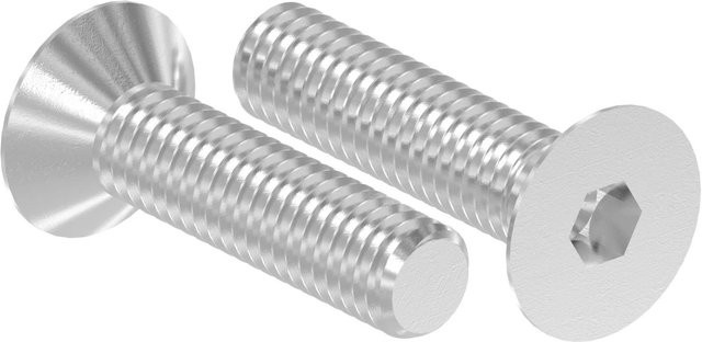 FeNau Senkkopfschraube M6 x 40 mm mit Innensechskant aus Edelstahl A4-80 in Silber - Bild 1