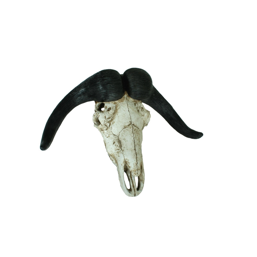 DELUKE Deko-Geweih Büffel in Braun, rustikale Tier-Dekoration aus Polyresin, B/T/H: 49 x 21 x 65,5 cm - Bild 2
