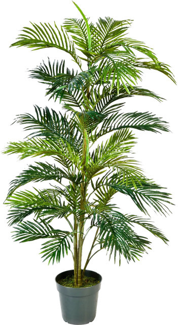 Künstliche Goldfruchtpalme Connor von Aplanta, Höhe: 150 cm - Bild 1