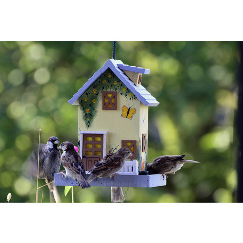DOBAR Vogelfutterhaus Sommer aus Kiefernholz für Wildvögel in Bunt und Gelb - Bild 4