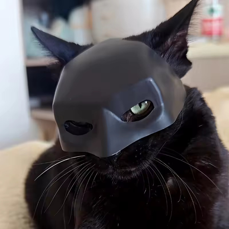 Meade Halloween Fledermaus Haustiermaske, Spielzeug für Katzen und Hunde - Bild 1