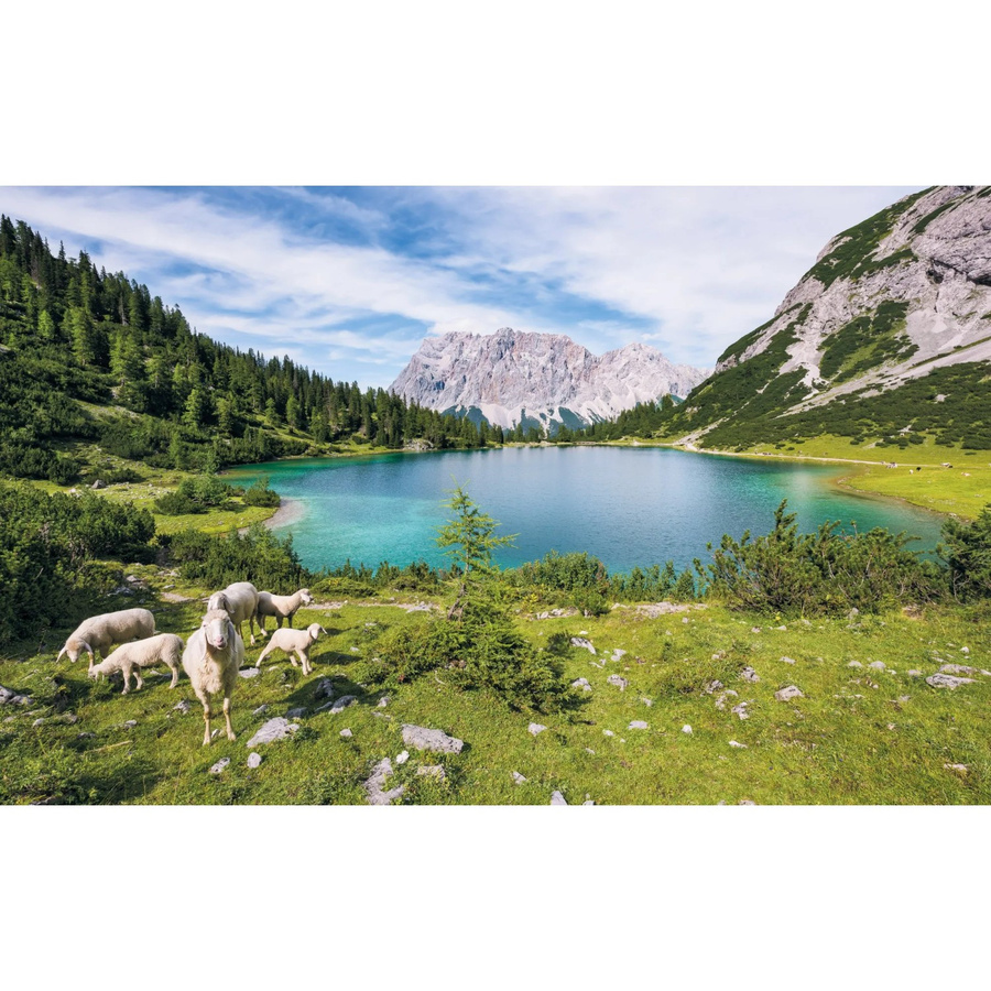 Komar Fototapete Vlies Paradise Lake Multicolor B: 400 cm, H: 250 cm - Bild 2