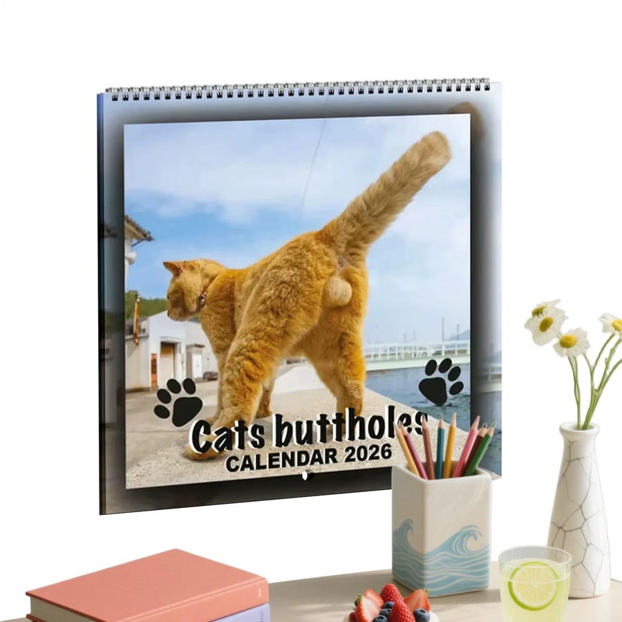 Wandkalender 2026 Katze Monatskalender mit 12 Monaten in Blau und Multicolour - Bild 5
