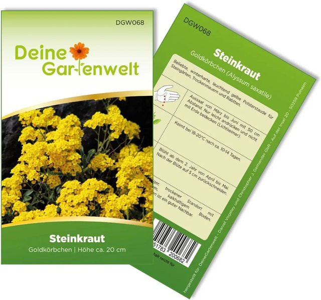 Deine Gartenwelt Steinkraut Goldkörbchen Samen für Steingärten und Trockenmauern - Bild 1