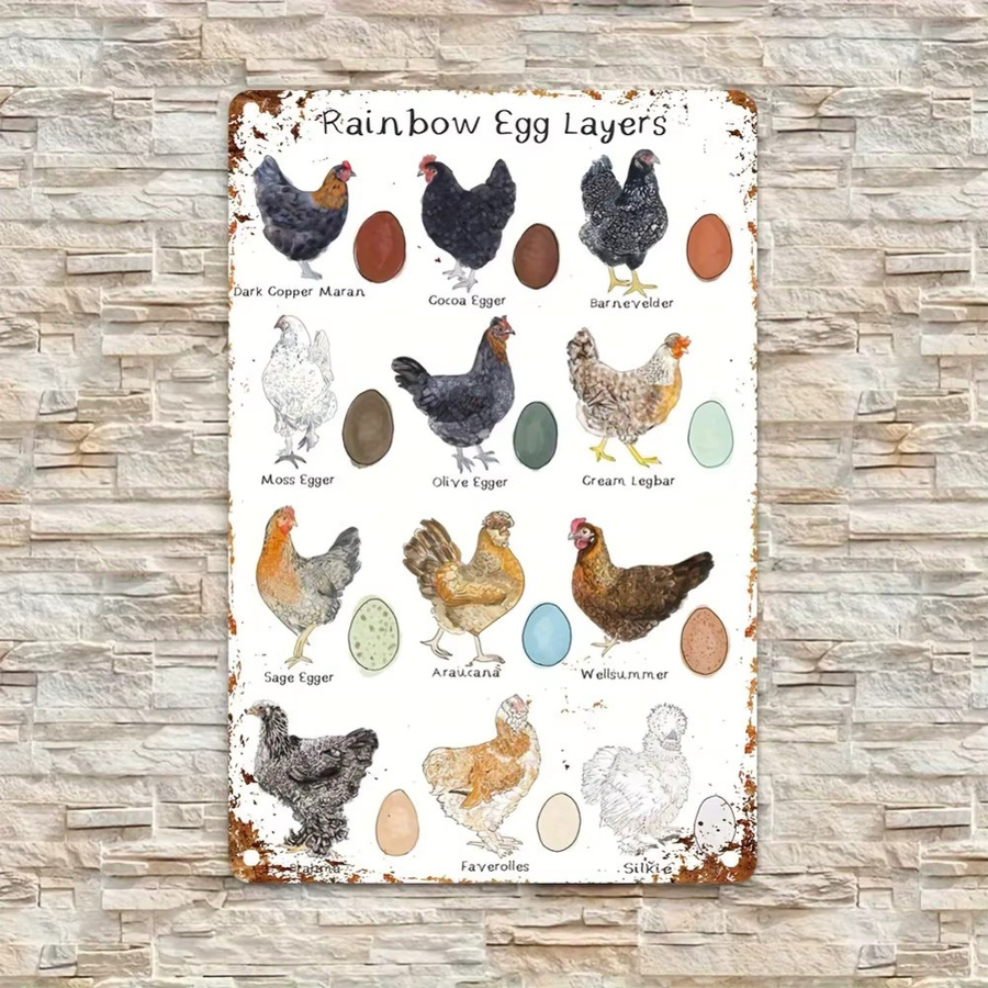 CIFBUY Vintage Chicken Breeds Metallschild mit buntem Ei-Design, rustikale Bauernhaus-Wandkunst aus Metall, B/H: 30 x 20 cm, Mehrfarbig - Bild 2