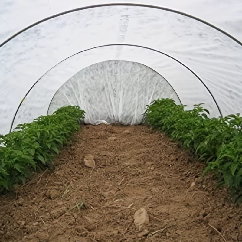 Verdickter Vliesstoff-Gartenmulch als Pflanzenschutzabdeckung für Gemüse und Obstbäume zur Isolierung und als Frostschutz, Farbe: Weiß, Breite: 160 cm, Länge: 1000 cm - Bild 6
