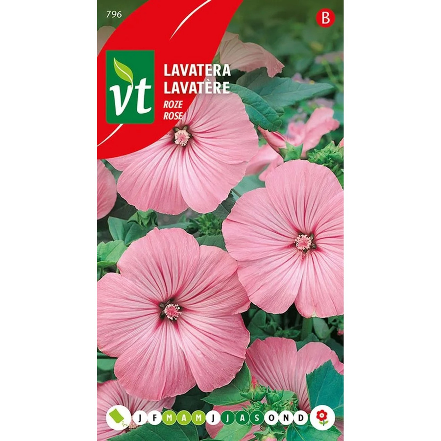 Arborix Bechermalve Rose Saatgut mit rosa Blüten, 0,75 g - Bild 2