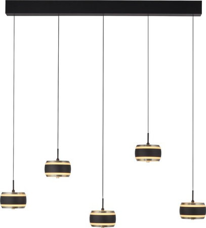 Paul Neuhaus PURE Falling Rings Pendelleuchte LED 5-flammig in Black Pearl, dimmbar mit Fernbedienung