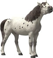Schleich Horse Club Knabstrupper Wallach Spielfigur - Bild 1