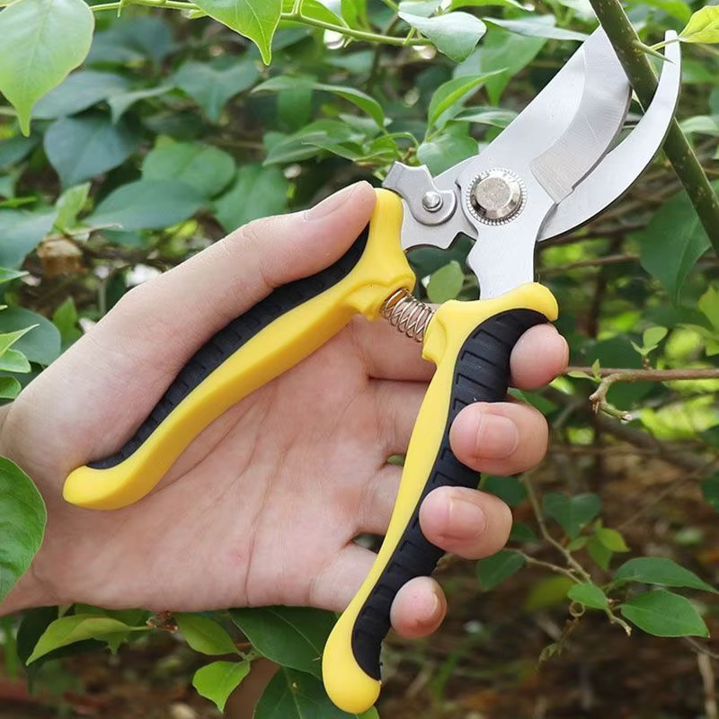 Multifunktionale Gartenschere in Vogelschnabel-Form aus Edelstahl in Grün - Bild 2