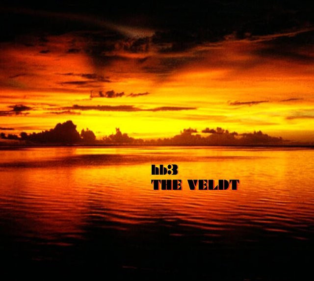 Veldt, Hb3, CD, Rock, Yellow - Bild 1