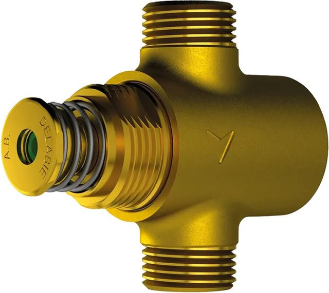 Delabie TEMPOSTOP AB Selbstschlussventil für Dusche G1/2B in Gold zur Hinterwandmontage - Bild 1