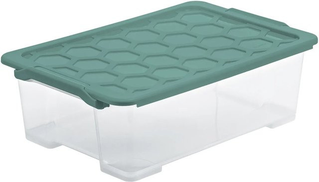 Rotho Box Evo Safe 30 Aufbewahrungsbox mit Schnappdeckel in Mistletoe Green, B/T/H: 59,0 x 39,5 x 18,5 cm - Bild 1