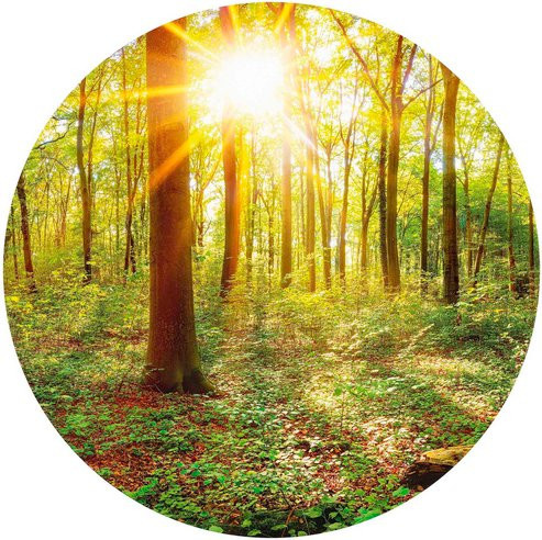 K&L Wall Art Vliestapete Runde Vliestapete Tief Wald Natur Vintage Deko, mehrfarbig, matt - Bild 1