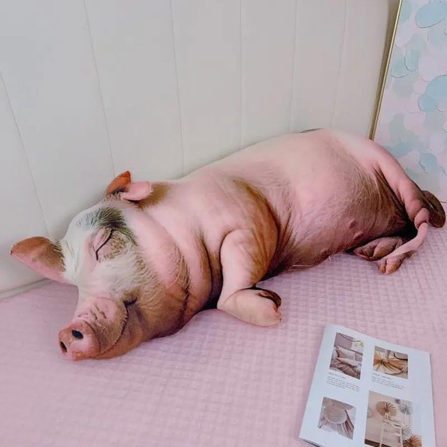 Yiran toy Schwein-Plüschtier, Rosa, 25cm - Bild 1