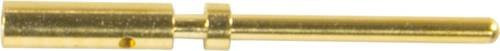 HARTING Crimpkontakt 21011009020 aus Messing mit Goldbeschichtung - Bild 1