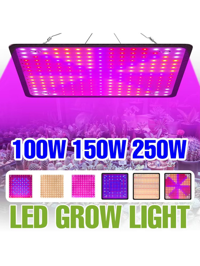 NJHIKG LED Quantum-Board Vollspektrum-Wachstumslicht mit 250 W, UV/IR Pflanzenlampe in Schwarz für Gewächshaus, Zelt und Anbau - Bild 3