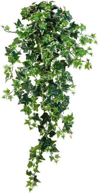 Künstlicher Efeu Amalia von Aplanta, grün, Höhe: 90 cm - Bild 1