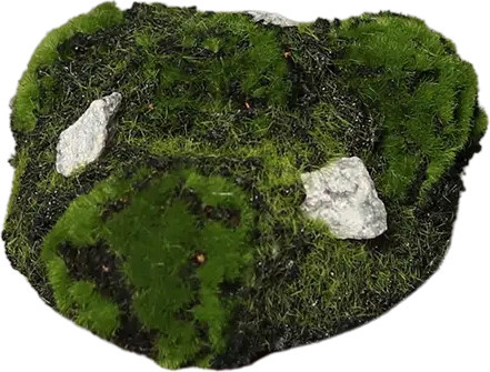 Künstlicher Erd-Moos-Rohling Malte von artplants in Grün, B/T/H: 9 x 9 x 9 cm - Bild 1