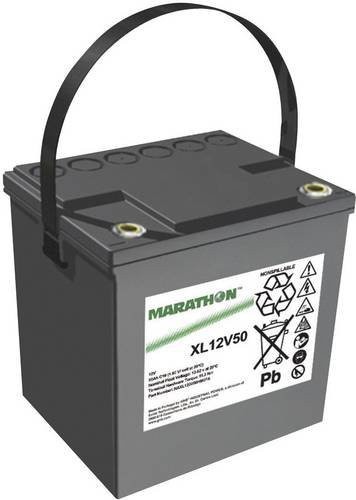 GNB Marathon XL12V50 AGM Bleiakku 12V 50,4Ah Schwarz B/H/T: 220 x 219 x 172 mm M6-Schraubanschluss - Bild 1