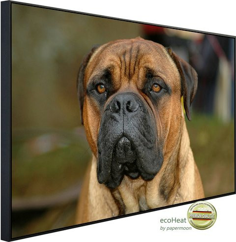 papermoon EcoHeat Infrarotheizung Bullmastiff mit Matt-Effekt in Bunt, App-Steuerung und Überhitzungsschutz - Bild 1