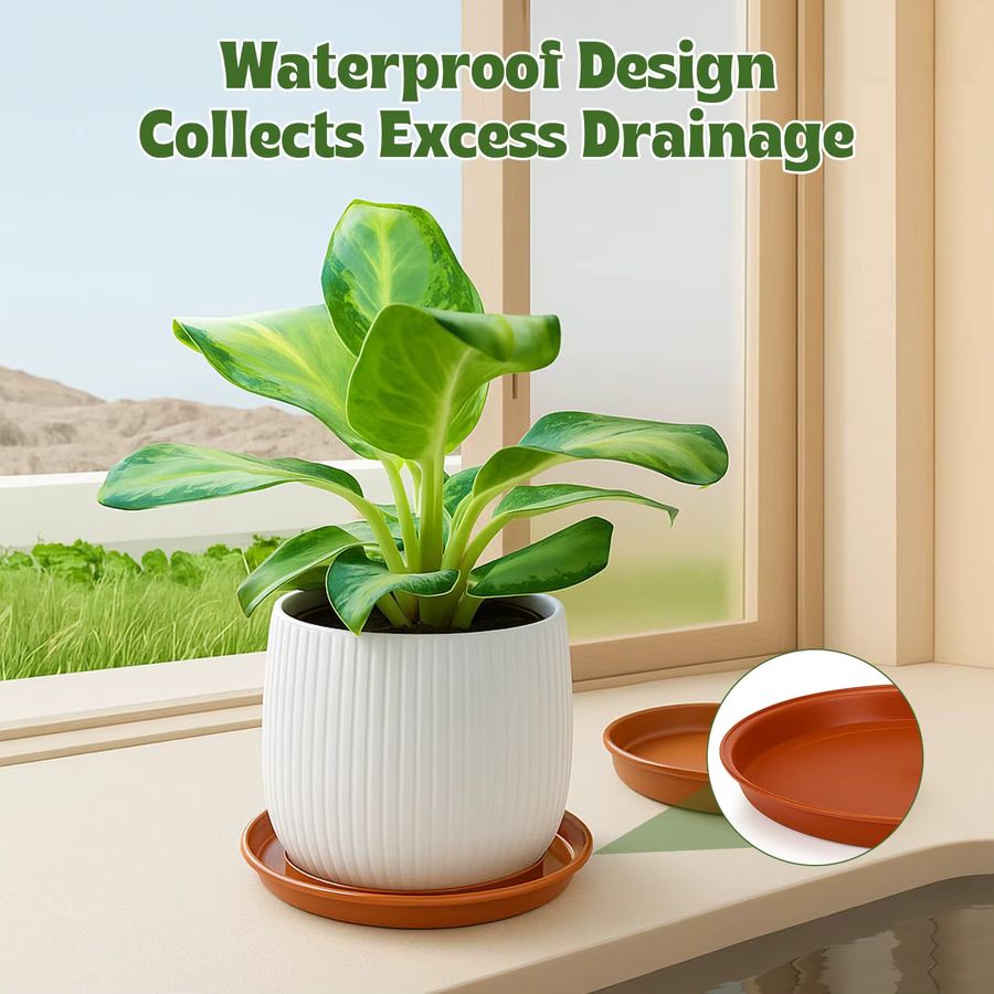 12er-Pack Blumentopf-Untertassen aus Kunststoff in 4 Größen, Tropfschalen für Garten und Pflanzen im Innen- und Außenbereich, Durchmesser: 18 cm, 22 cm, 24 cm und 26 cm - Bild 4