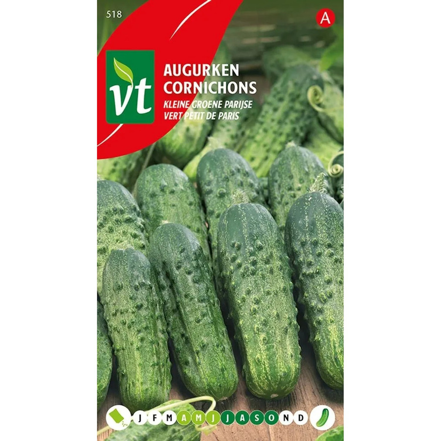 Arborix Einlegegurke Cornichon Vert Petit de Paris Samen für kleine Früchte, 3 g - Bild 2