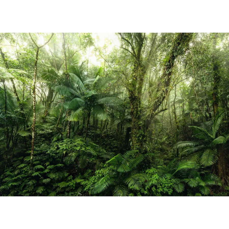 Komar Fototapete Mindfulness Grün Vlies B x H: 350 x 250 cm - Bild 2
