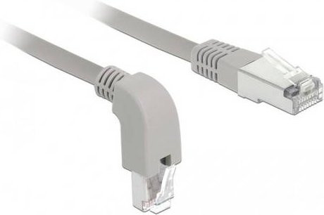 Delock RJ45 Patchkabel CAT 6a S/FTP Ethernet LAN Kabel Grau, Länge: 1,00 m - Bild 1