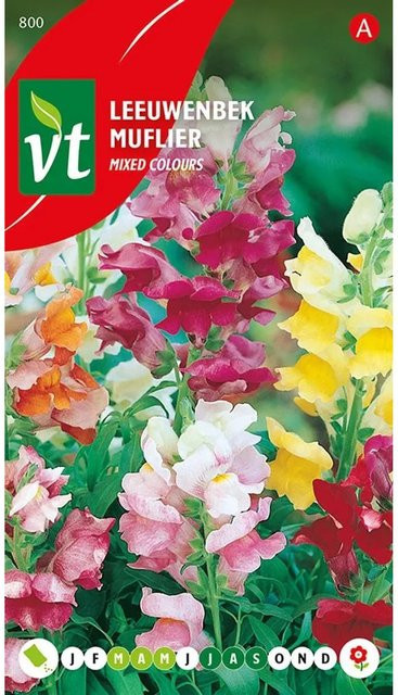 Arborix Löwenmaul Nain Mix Saatgut mit bunten Blüten, 0,4 g - Bild 1