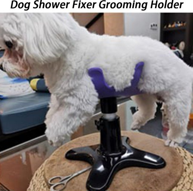 Verstellbarer Hundepflegehalter von OIMG in Lila für Haustierpflege und Hundebad - Bild 1