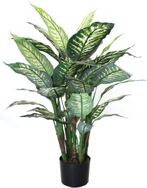 Künstliche Dieffenbachia Calienne von Aplanta, grüne Zimmerpflanze, Höhe: 70 cm - Bild 1