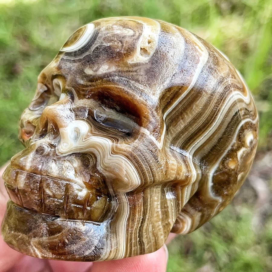 CRYSTALHOLA Natürlicher Schokoladenstein-Schädel mit Bernsteinband als 3D-geschnitzte Dekoration - Bild 3