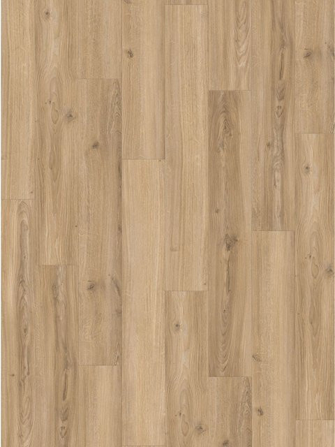 Parador Laminatbodenmuster Basic 400 Eiche Studioline Beige - Bild 1