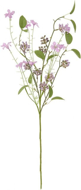 Rico Design Picker Wildblume Lila - Bild 1