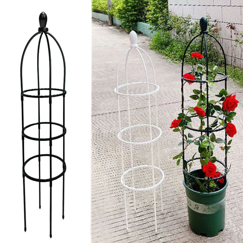 Garten Obelisk Spalier in Schwarz für Kletterpflanzen wie Rosen und Reben - Bild 6
