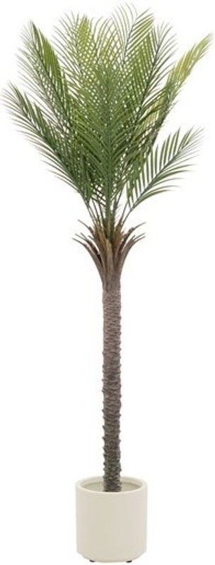 Künstliche Palme ML-Design in Grün und Braun, 180 cm Höhe, im Topf - Bild 1