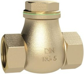 Riegler Rückschlagklappe aus Rotguss in Gold, DN 65, G 2 1/2, PN max. 16 bar - Bild 1