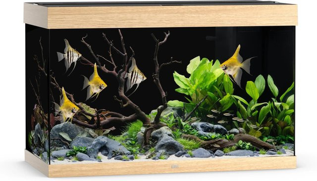 Juwel Aquarium Rio 290 LED mit hellem Holz - Bild 1