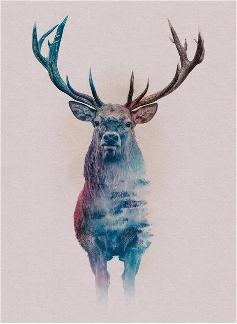 Komar Wandbild Animals Deer Paper Poster Multicolor B: 30 cm, H: 30 cm - Bild 1