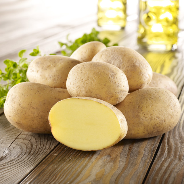 BIO Pflanzkartoffeln Afra, 10 Stück - Bild 1