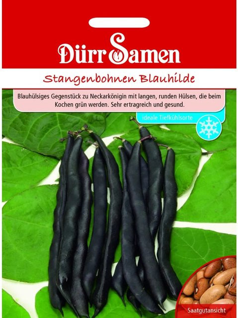 Dürr Samen Stangenbohnen Blauhilde Saatgut 155 g - Bild 1