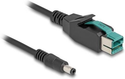 Delock PoweredUSB 12V Stromkabel mit USB-C und DC-Stecker 5,5mm, Schwarz, Länge: 1,00 m - Bild 1