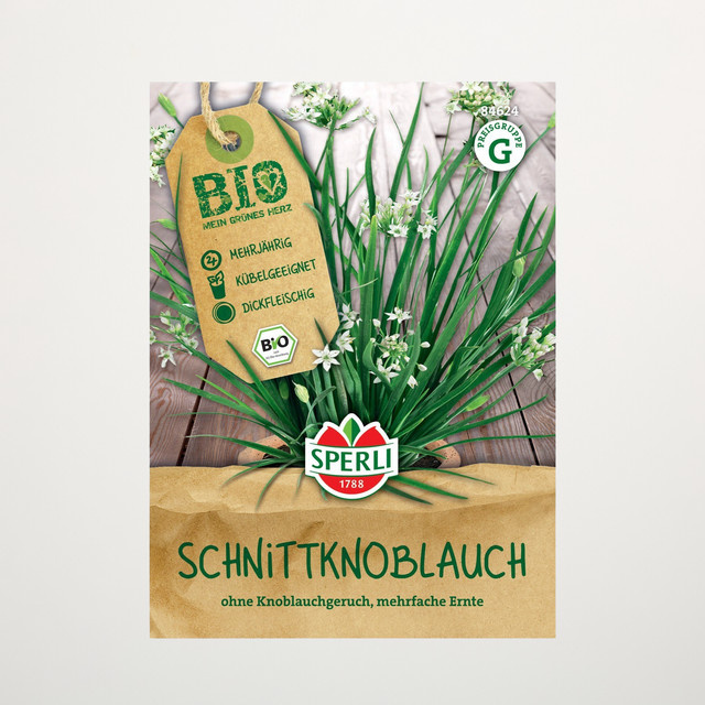 Sperli Schnittknoblauch Samen BIO für deinen Kräutergarten, Balkon oder Topf - Bild 1
