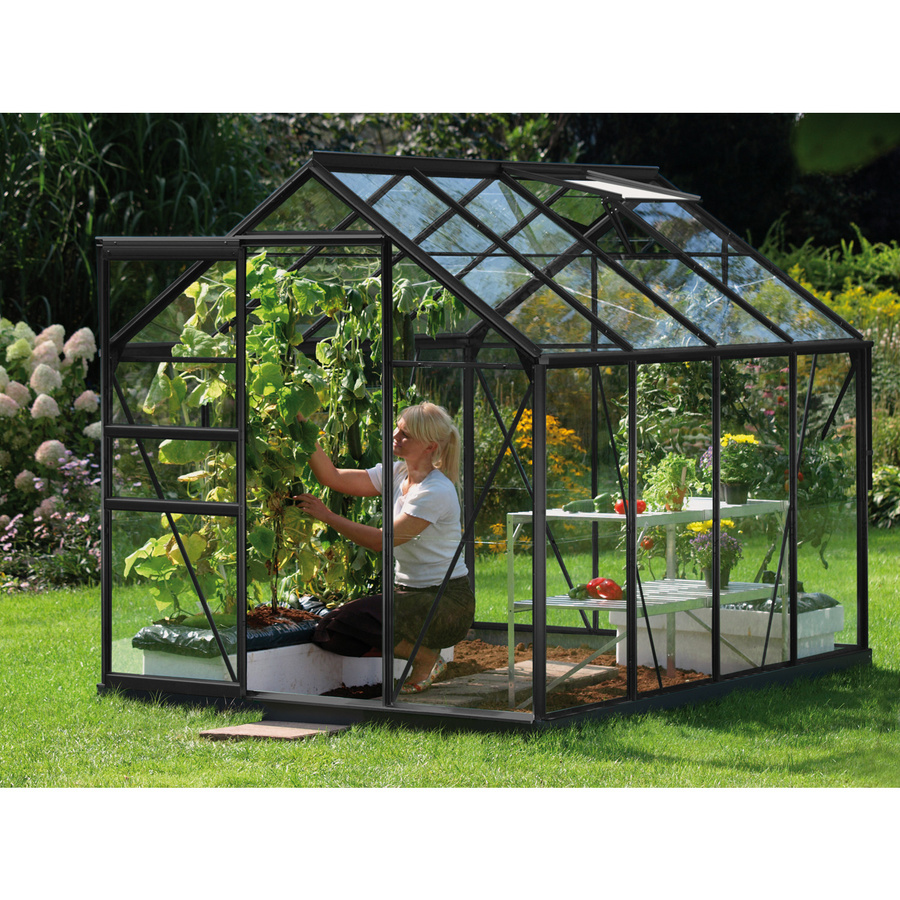 Vitavia Gewächshaus Venus 5000 Schwarz 5 m² mit Einscheibensicherheitsglas und Schiebetür - Bild 3