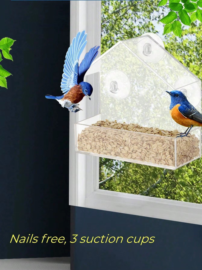 Transparente Acryl-Vogelfutterstation zum Aufhängen für die Wildtierbeobachtung im Garten und Außenbereich - Bild 2